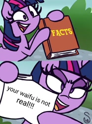 Size: 760x1015 | Tagged: safe, artist:quarium edits, edit, twilight sparkle, twilight sparkle (alicorn), alicorn, anti-bronybait, book, ed edd n eddy, evil grin, exploitable meme, grin, meme, pure unfiltered evil, reality ensues, reality sucks, smiling, truth, twilight's fact book, waifu