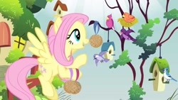 Size: 1280x720 | Tagged: safe, screencap, constance, fluttershy, bird, blue jay, pegasus, pony, filli vanilli, bird house, female, flying, mare, music in the treetops, solo, songbird