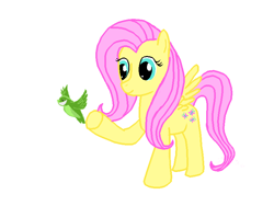 Size: 800x600 | Tagged: safe, artist:franzeir, fluttershy, bird, pegasus, pony, simple background, solo, white background