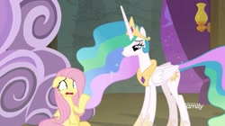 Size: 1237x694 | Tagged: safe, screencap, fluttershy, princess celestia, alicorn, pegasus, pony, horse play, female, mare