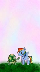 Size: 576x1024 | Tagged: safe, artist:tomizawa96, derpibooru import, rainbow dash, tank, pegasus, pony, tortoise, backwards cutie mark, grass, sky