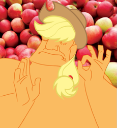 Size: 557x605 | Tagged: safe, applejack, earth pony, pony, female, mare, meme, pacha, when x just right