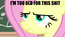 Size: 1280x720 | Tagged: safe, derpibooru import, edit, edited screencap, screencap, fluttershy, pegasus, pony, teacher of the month (episode), spoiler:interseason shorts, caption, chalkboard, close-up, image macro, impact font, serious, serious face, solo, text, vulgar, wallpaper