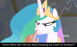 Size: 960x595 | Tagged: safe, edit, edited screencap, screencap, princess celestia, oc, oc:anon, human, pony, horse play, angry, annoyed, boop, boop edit, bronybait, caption, celestia is not amused, discovery family logo, hand, meta, non-consensual booping, sillestia, silly, silly pony, text, this will end in a trip to the moon, this will end in pain, unamused