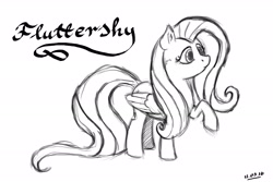 Size: 3000x2000 | Tagged: safe, artist:crimson, fluttershy, pegasus, pony, monochrome, raised hoof, simple background, sketch, solo, white background