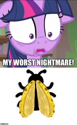 Size: 500x817 | Tagged: safe, edit, edited screencap, screencap, twilight sparkle, twilight sparkle (alicorn), alicorn, ladybug, starlight the hypnotist, spoiler:interseason shorts, caption, comic, fear, floppy ears, food, image macro, imgflip, impact font, meme, pure unfiltered evil, quesadilla, solo, text, they're just so cheesy, twilight hates ladybugs, what has science done