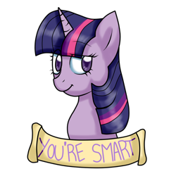 Size: 1000x1000 | Tagged: safe, artist:stockingstreams, derpibooru import, twilight sparkle, looking at you, old banner, positive ponies, raised eyebrow, smiling, solo