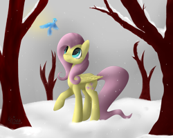 Size: 1280x1024 | Tagged: safe, artist:keisaa, fluttershy, bird, pegasus, pony, looking at something, looking up, raised hoof, snow, snowfall, solo, winter