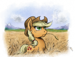 Size: 800x609 | Tagged: safe, artist:hewison, applejack, earth pony, pony, female, hay stalk, looking up, mare, solo