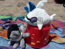 Size: 3264x2448 | Tagged: safe, artist:nerdymind, octavia melody, monster pony, octopony, octopus, original species, shark, beach, bucket, irl, octaviapus, photo, plushie, sand, shark plushie, sharkified, species swap, vinyl shark