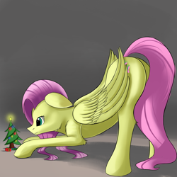 Size: 1280x1280 | Tagged: safe, artist:vell221, fluttershy, pegasus, pony, christmas tree, face down ass up, looking at something, looking down, plot, solo, tree