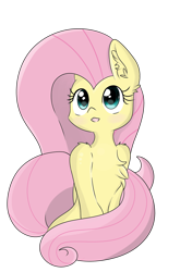 Size: 2456x3484 | Tagged: safe, artist:meowmavi, fluttershy, pegasus, pony, chest fluff, ear fluff, simple background, solo, transparent background