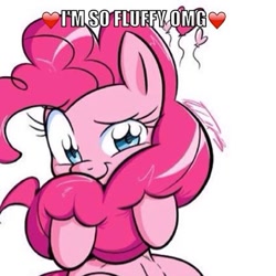 Size: 480x480 | Tagged: safe, artist:no-ink, edit, pinkie pie, earth pony, pony, cropped, cute, diapinkes, fluffy, heart, image macro, looking at you, meme, raised eyebrow, simple background, sitting, smiling, solo, white background