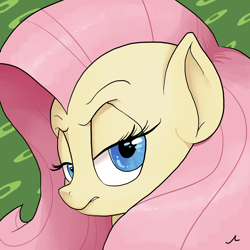 Size: 2400x2400 | Tagged: safe, artist:docwario, fluttershy, pegasus, pony, annoyed, blue eyes, bust, glare, lidded eyes, looking at you, looking sideways, portrait, solo, unamused