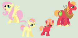 Size: 1250x616 | Tagged: safe, artist:deppressedunicorn, big macintosh, fluttershy, oc, oc:lamb abe apple, oc:tallow pippin apple, earth pony, pegasus, pony, fluttermac, gray background, male, offspring, parent:big macintosh, parent:fluttershy, parents:fluttermac, shipping, simple background, straight