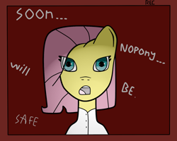 Size: 1280x1024 | Tagged: safe, artist:gera, fluttershy, pegasus, pony, edgy, murdershy, recording, solo, tumblr