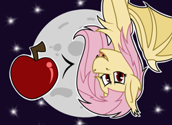 Size: 2000x1455 | Tagged: safe, artist:koonzypony, fluttershy, bat pony, pony, apple, flutterbat, food, fruit, looking at you, moon, nocturnal adventures, race swap, simple background, stars, twilight sparkle's secret shipfic folder, upside down