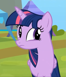 Size: 617x725 | Tagged: safe, derpibooru import, screencap, twilight sparkle, twilight sparkle (alicorn), alicorn, pony, rainbow falls, season 4, female, mare, solo