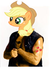 Size: 400x576 | Tagged: safe, applejack, earth pony, pony, blonde mane, chuck norris, female, mare, orange coat, solo