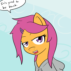 Size: 800x800 | Tagged: safe, artist:jake heritagu, scootaloo, pony, comic:ask motherly scootaloo, alternate hairstyle, motherly scootaloo, sweatshirt, tumblr