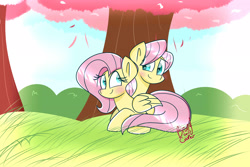 Size: 3000x2000 | Tagged: safe, artist:lynchristina, butterscotch, fluttershy, pegasus, pony, adorascotch, cute, flutterscotch, male, rule 63, rule63betes, self ponidox, selfcest, shipping, shyabetes, straight