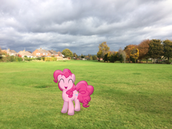 Size: 3264x2448 | Tagged: safe, artist:harpycross, pinkie pie, earth pony, pony, cute, diapinkes, eyes closed, female, field, grass, grass field, happy, irl, mare, park, photo, photoshop, ponies in real life, smiling, smiling at you, solo, tree, vector