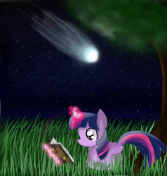 Size: 950x1000 | Tagged: safe, artist:chanceyb, derpibooru import, twilight sparkle, twilight sparkle (alicorn), alicorn, pony, book, female, grass, magic, mare, meteor, night