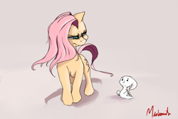 Size: 1800x1200 | Tagged: safe, artist:miokomata, angel bunny, fluttershy, pegasus, pony, angry, duo, fangs, intimidating, looking at each other, signature, simple background, stare, the stare