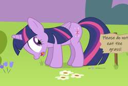Size: 940x630 | Tagged: safe, artist:dm29, edit, twilight sparkle, twilight sparkle (alicorn), alicorn, pony, copyright, female, frown, fuck the police, grass, grazing, herbivore, horses doing horse things, keep off the grass, looking back, mare, open mouth, pure unfiltered evil, secret shame, sign, silly, silly pony, solo, wide eyes