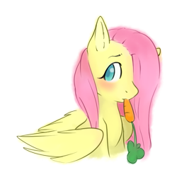 Size: 689x689 | Tagged: safe, artist:yan-kuu, fluttershy, pegasus, pony, blushing, bust, carrot, cute, food, hair over one eye, horses doing horse things, looking at you, nom, portrait, shyabetes, simple background, solo, transparent background