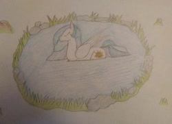 Size: 400x290 | Tagged: safe, artist:stemar-pony, princess celestia, alicorn, duck pony, pony, colored pencil drawing, eyes closed, female, mare, pond, solo, swanlestia, traditional art, water