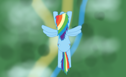 Size: 1976x1202 | Tagged: safe, artist:dzamie, derpibooru import, rainbow dash, pegasus, pony, colored, digital art, female, flying, mare, solo, top down