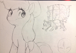 Size: 1024x723 | Tagged: safe, artist:masak9, applejack, winona, earth pony, pony, explicit source, labor, pencil drawing, sketch, traditional art