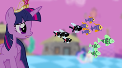 Size: 1439x808 | Tagged: safe, screencap, princess celestia, princess luna, twilight sparkle, twilight sparkle (alicorn), alicorn, fish, pony, princess twilight sparkle (episode), big crown thingy, blurry background, chaos, female, floating, jewelry, mare, purple sky, regalia, school of fish, solo