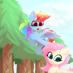 Size: 1500x1500 | Tagged: safe, artist:glazirka, derpibooru import, fluttershy, rainbow dash, pegasus, pony, chest fluff, cute, dashabetes, duo, female, fluffy, flying, glazirka is trying to murder us, mare, shyabetes, tree, wings