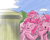 Size: 1000x800 | Tagged: artist needed, source needed, safe, pinkie pie, earth pony, pony, /mlp/, clone, lazytown, multeity, pinkie clone, robbie rotten, we are number one, we are number one in the comments