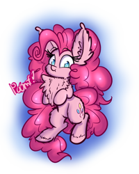 Size: 1000x1250 | Tagged: safe, artist:heir-of-rick, pinkie pie, earth pony, pony, :t, chest fluff, cute, fluffy, impossibly large chest fluff, impossibly large ears, looking at you, pomf, solo