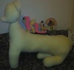 Size: 1137x1080 | Tagged: safe, artist:ponylover88, doctor whooves, fluttershy, pony, irl, male, photo, plushie, stallion