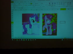 Size: 3648x2736 | Tagged: safe, rarity, sugar belle, pony, unicorn, excel, harmonycon 2019, irl, lidded eyes, microsoft excel, panel, photo, shipping fuel