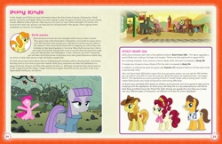 Size: 1700x1100 | Tagged: safe, braeburn, carrot top, cherry jubilee, doctor horse, doctor stable, golden harvest, maud pie, pinkie pie, earth pony, pony, tails of equestria, appleloosa