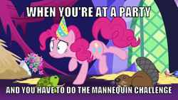 Size: 546x307 | Tagged: safe, edit, edited screencap, screencap, pinkie pie, beaver, earth pony, pony, castle sweet castle, season 5, caption, flower, image macro, mannequin challenge, meme, window