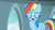 Size: 1920x1080 | Tagged: safe, derpibooru import, screencap, rainbow dash, pegasus, pony, daring doubt, solo