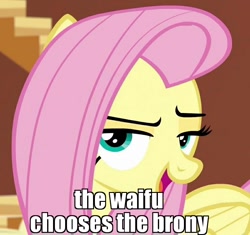 Size: 806x759 | Tagged: safe, edit, edited screencap, screencap, fluttershy, pegasus, pony, dungeons and discords, bedroom eyes, bronybait, cropped, cute, harry potter, image macro, lidded eyes, meme, sexy, shyabetes, solo, waifu