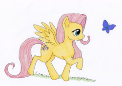 Size: 3000x2098 | Tagged: safe, artist:deoxtri, fluttershy, butterfly, pegasus, pony, looking at something, raised hoof, simple background, simplistic art style, spread wings, walking, white background
