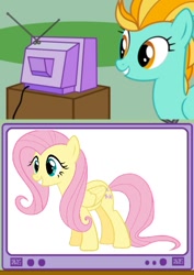 Size: 450x636 | Tagged: safe, fluttershy, lightning dust, pegasus, pony, exploitable meme, meme, tv meme