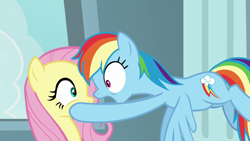 Size: 1920x1080 | Tagged: safe, derpibooru import, screencap, fluttershy, rainbow dash, pegasus, pony, daring doubt, flying, looking at each other