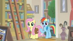 Size: 1920x1080 | Tagged: safe, derpibooru import, screencap, fluttershy, rainbow dash, pegasus, pony, daring doubt, bag, bookshelf, ladder, saddle bag