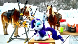 Size: 2189x1227 | Tagged: safe, artist:hihin1993, rarity, horse, pony, horse-pony interaction, irl, irl horse, japan, photo, plushie, snow