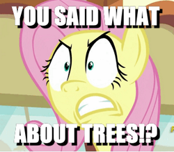 Size: 318x278 | Tagged: safe, edit, edited screencap, screencap, fluttershy, pegasus, pony, buckball season, angry, cropped, full freakout mode, image macro, meme, offended, shrunken pupils, solo