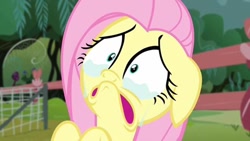 Size: 720x405 | Tagged: safe, screencap, fluttershy, pegasus, pony, filli vanilli, crying, sad, solo